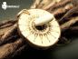 Preview: Dreadlock haargummi, dreadlock zopfgummi, dread haargummi,Haarklammer, dread harschmuck, dread haarklammern, dreadschmuck hochzeit, dreadlocks verschönern, dreadlocks schmücken, Dreadlock kunst, kupferschmuck, hippieschmuck, hippie, goa, goaschmuck, elfen